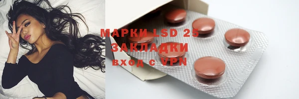 ГАЛЛЮЦИНОГЕННЫЕ ГРИБЫ Баксан