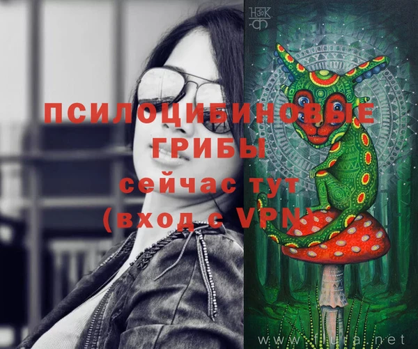 ГАЛЛЮЦИНОГЕННЫЕ ГРИБЫ Баксан