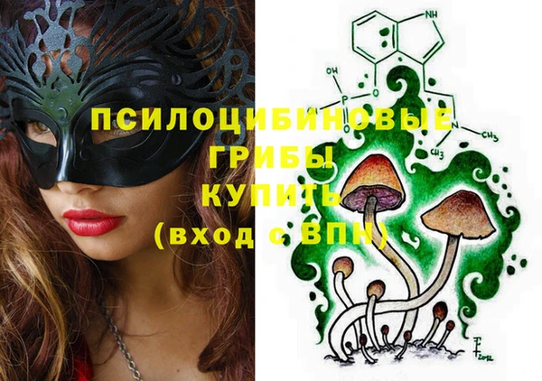 ГАЛЛЮЦИНОГЕННЫЕ ГРИБЫ Баксан